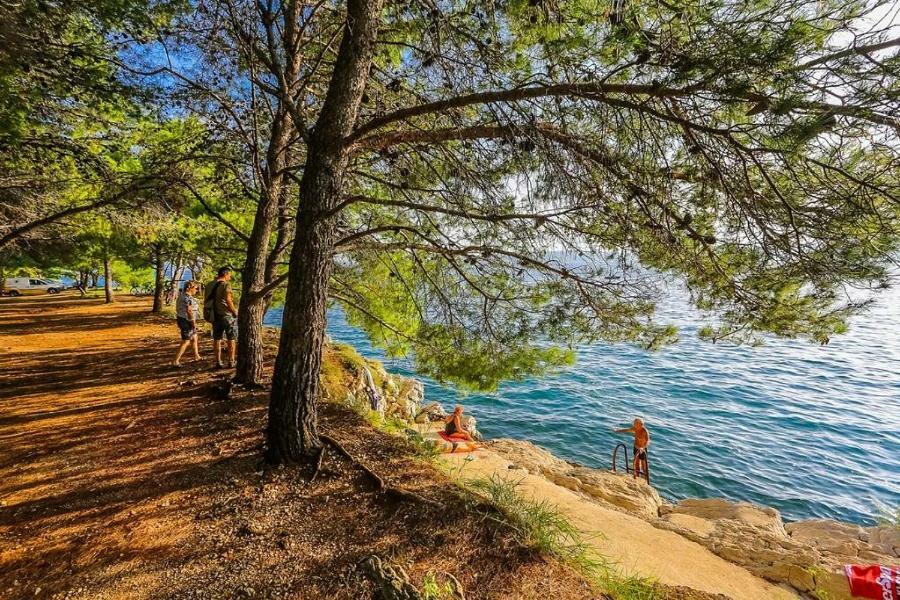 Holiday Home Bajlo Apartment With Three Bedrooms Zadar Bagian luar foto